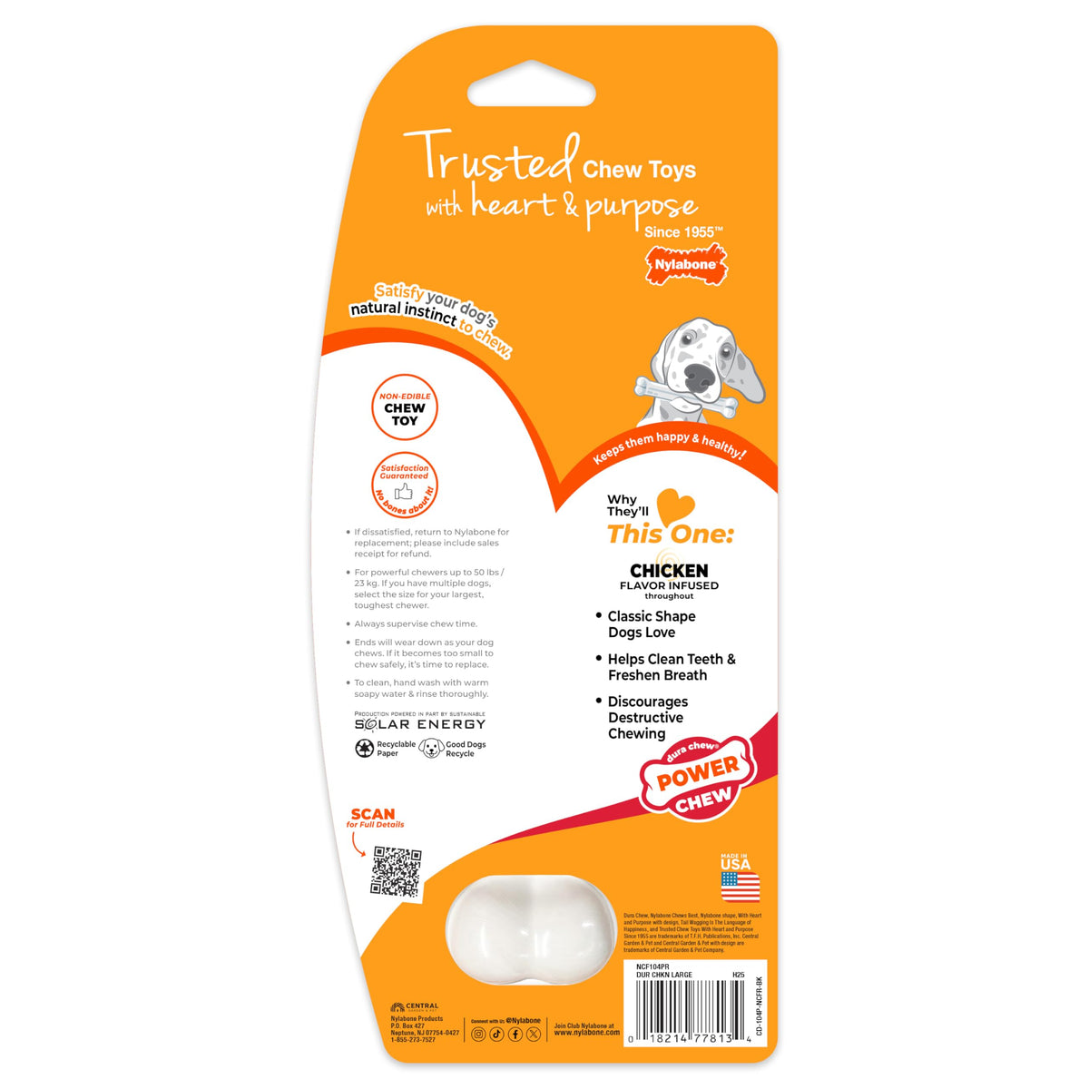 Power Chew Classic Bone Chew Toy for Dogs (Large)