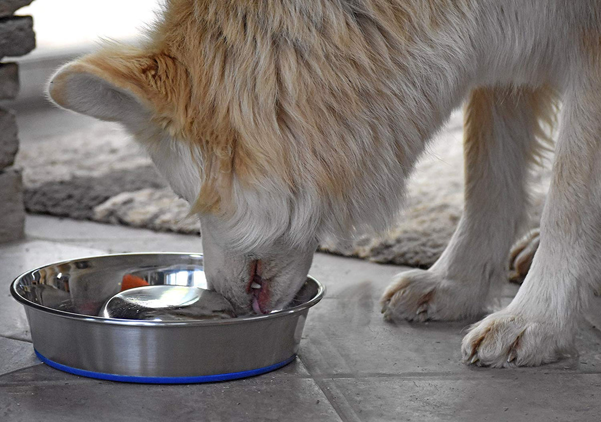 OurPet's DuraPet Slow Feed Stainless Steel Dog Bowl (Large (6 Cups))