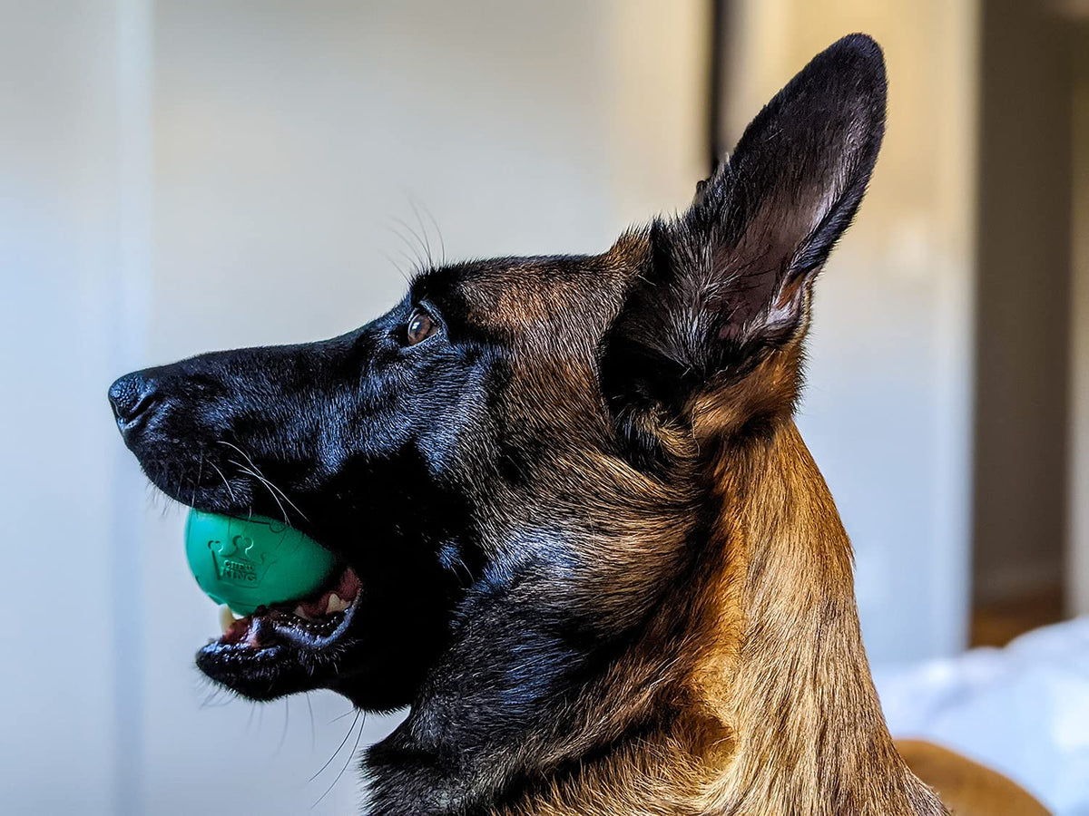 Fetch Balls Extremely Durable Natural Rubber Toy 2.5 inch (8-Pack (2.5" Balls) - Blue, Green, Purple)