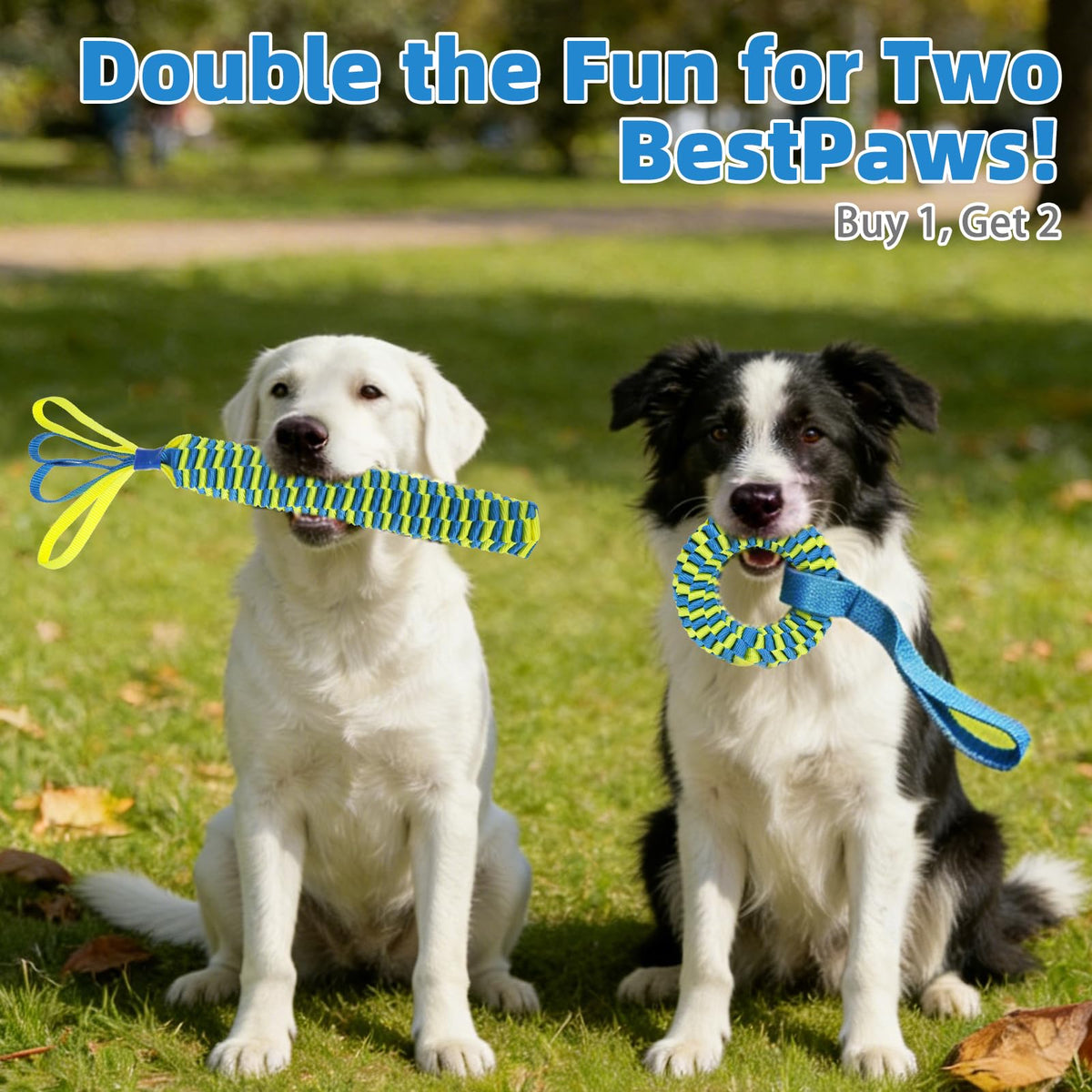 Snuffle Ball for Dogs