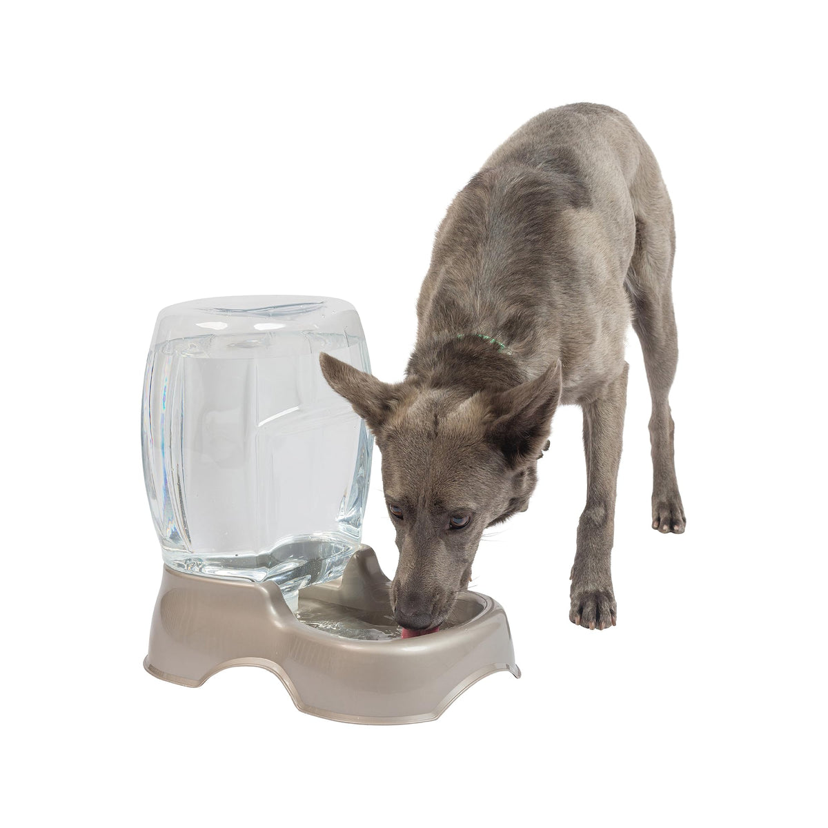 Pet Cafe Cat and Dog Water Dispenser (Pearl Tan / 3 GAL)