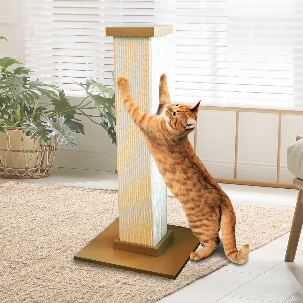 Pioneer Pet Ultimate Scratching Post (Beige)