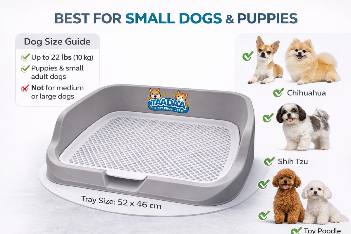 Indoor Dog Potty Tray for Small Dogs & Puppies (Navy Blue)