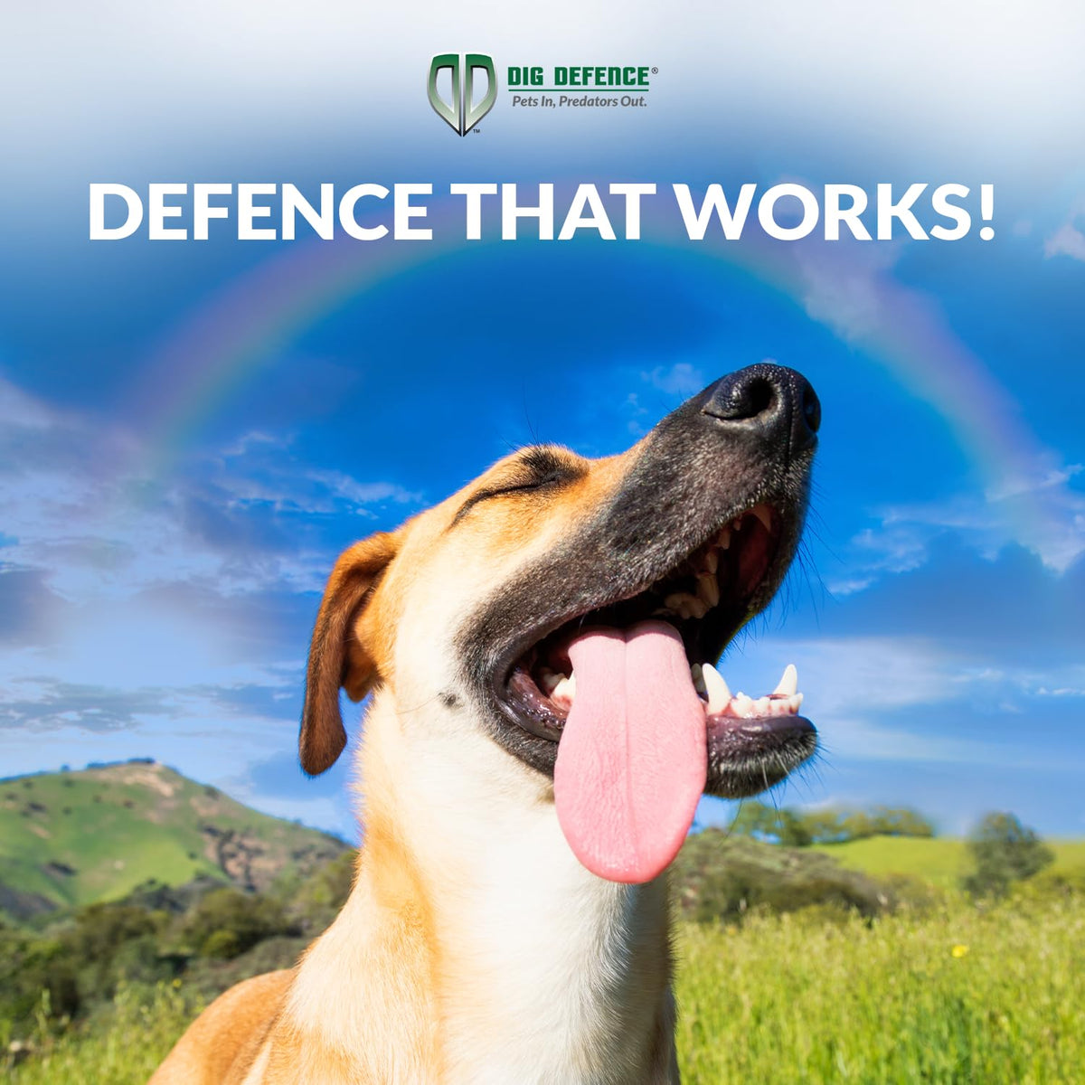 Original Animal Barrier Fence (6 CT)