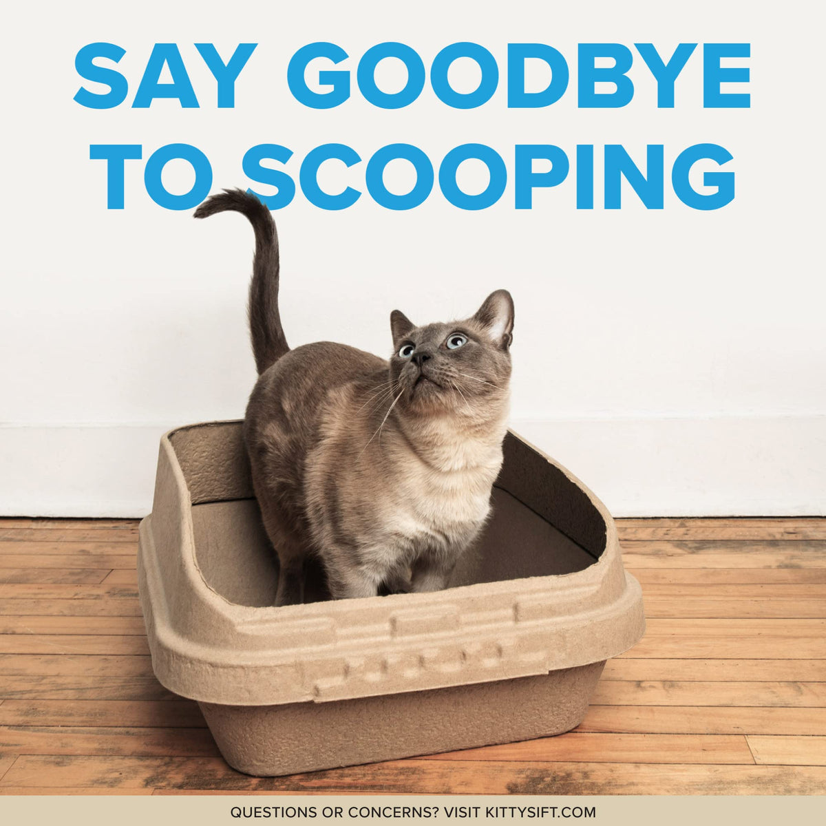 Set of 1 Litter Box & 5 Sifting Liners (Litter Box Sifting Kit / Large (6-Piece Set))