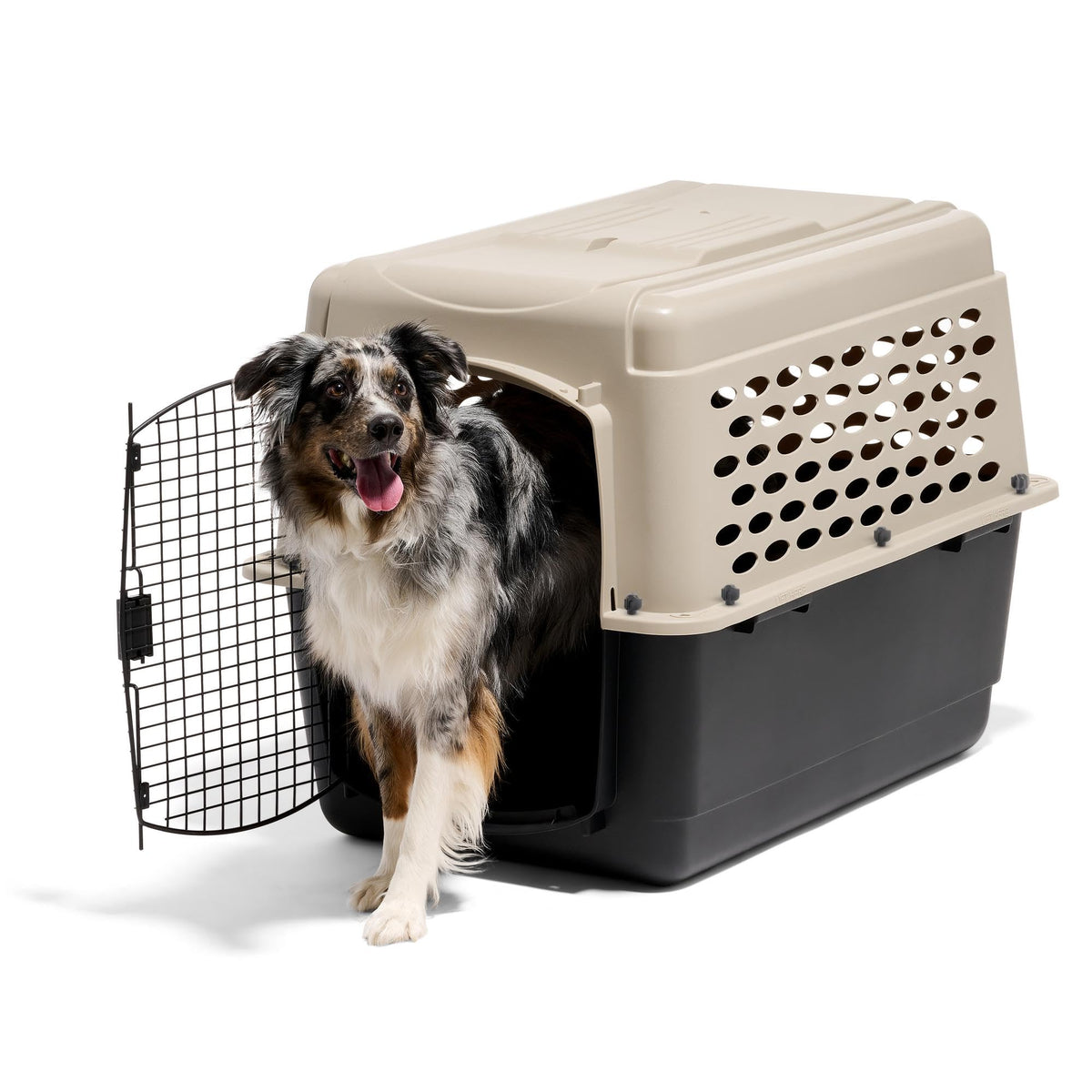 Vari Dog Kennel (36.0"L x 25.0"W x 27.0"H)