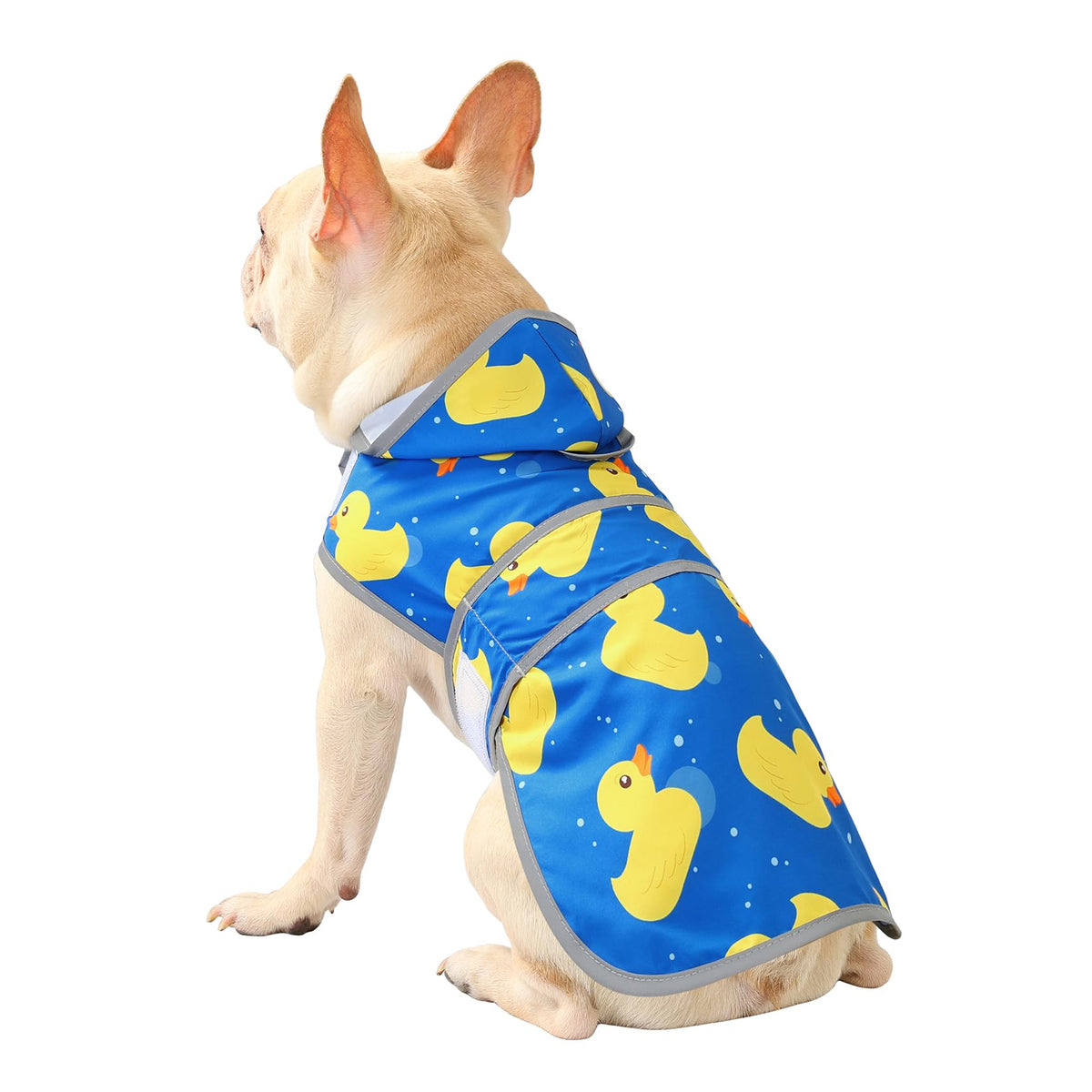 Dog Raincoat for Medium Dogs Waterproof Jacket Hooded Rain Coats with Reflective Strips Leash Hole & Poncho Adjustable Fit (A. Ducks / Medium)