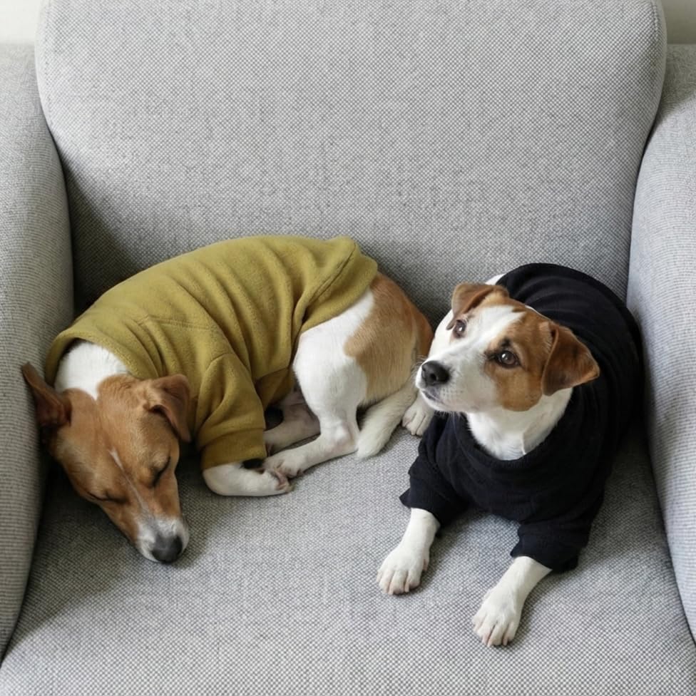 3 Pack Classic Fleece Dog Sweater (X-Large / Black-Olive-Cream)