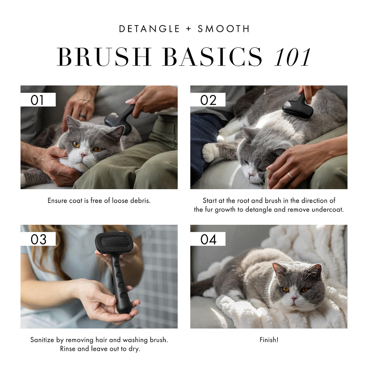 Slicker Brush for Small Pets (Small)