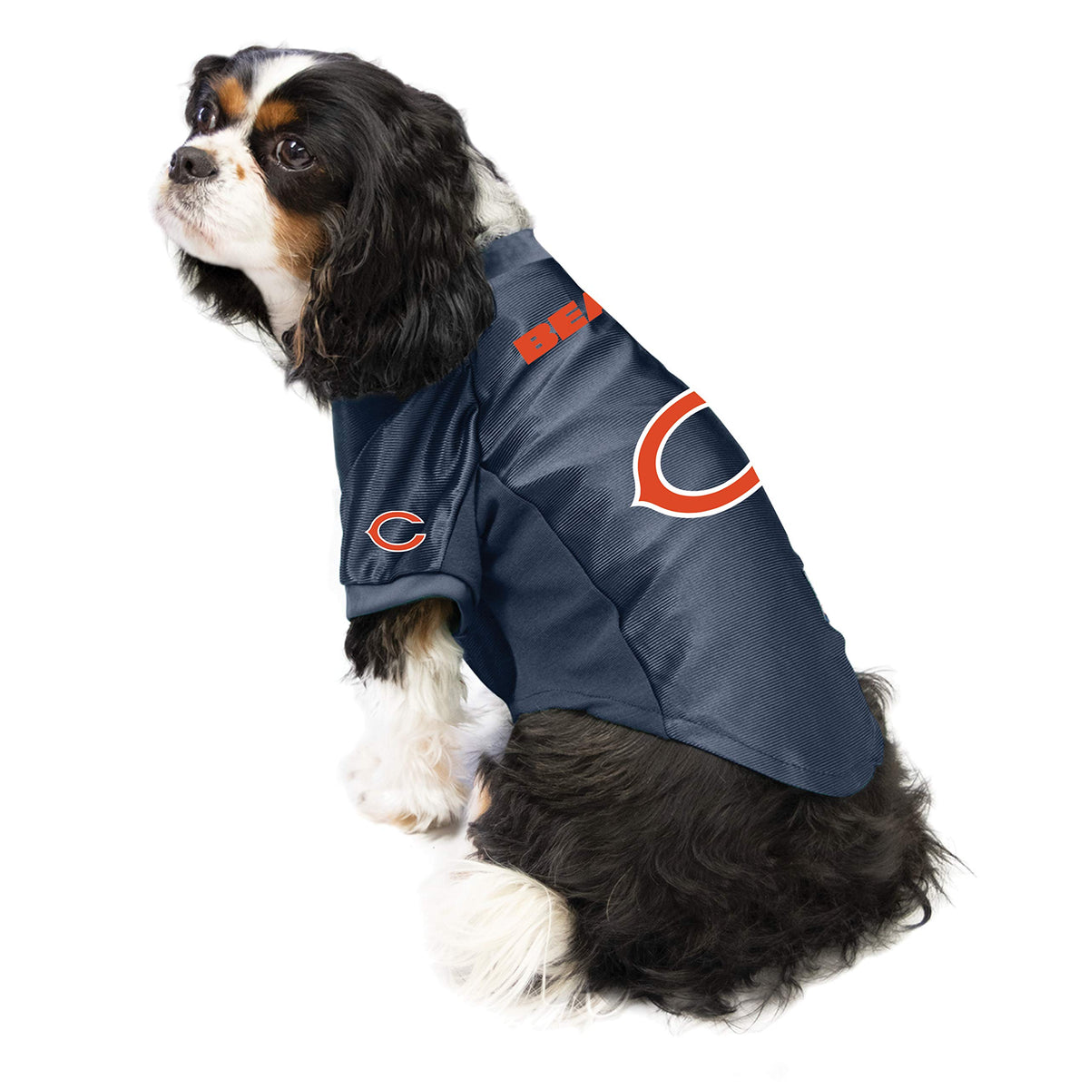 NFL Chicago Bears Stretch Pet Jersey (Chicago Bears / Medium)