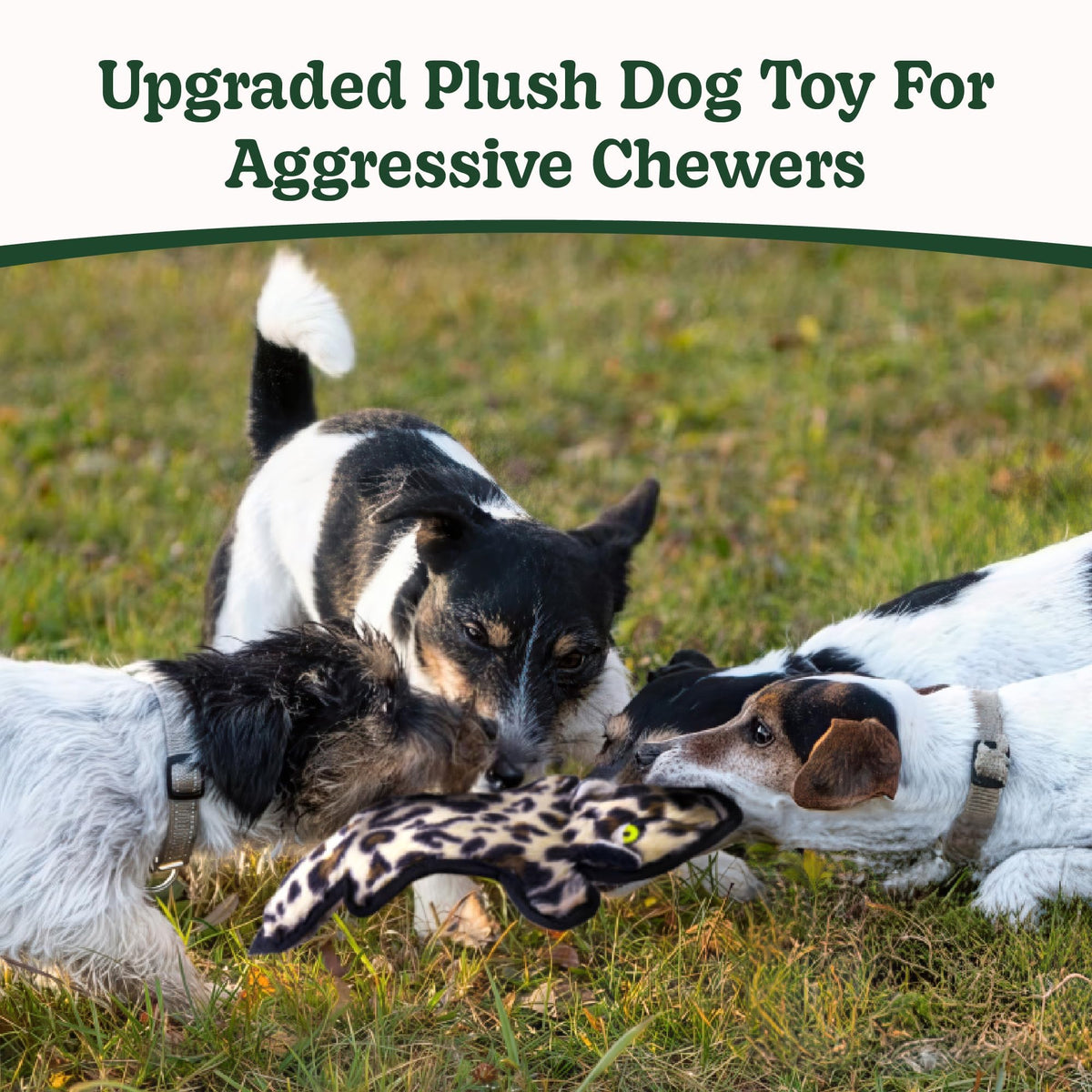 No Stuffing Dog Toys Crinkle Squeaky (3 Pack / Small)