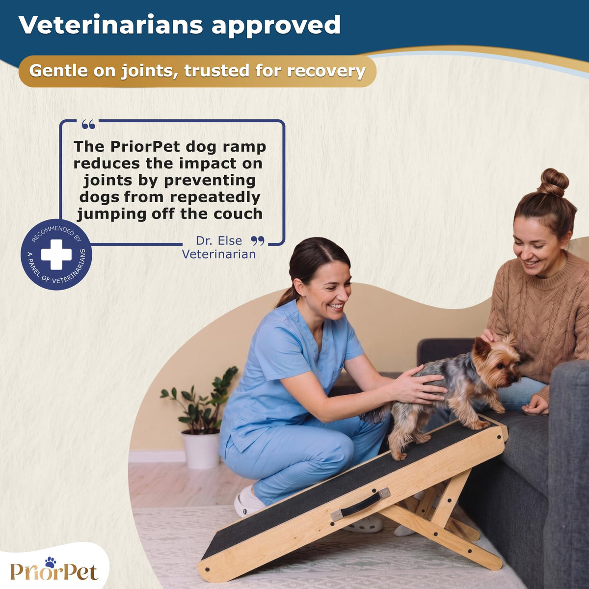 Dog Ramp for Couch (Natural)