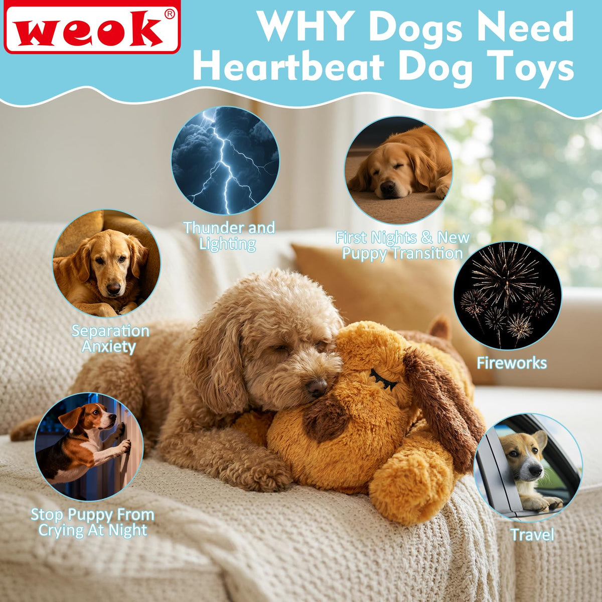 8 Pack Puppy Toys for Medium Small Breeds