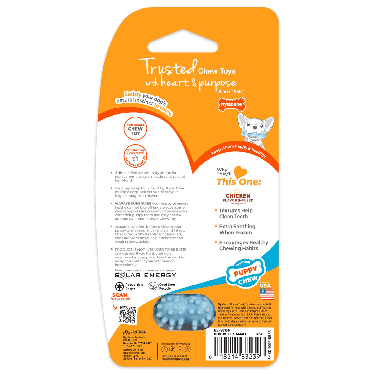 Puppy Chew Blue Textured Teething Dog Bone (Blue / X-Small)
