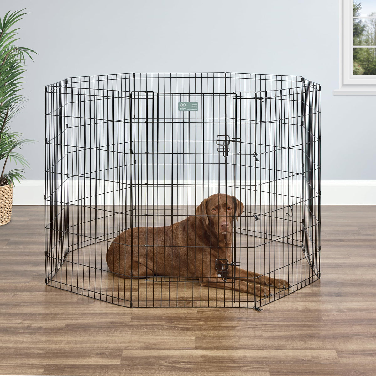 MidWest 42 Inch Exercise Pen (Black w/ Door / 42" H)