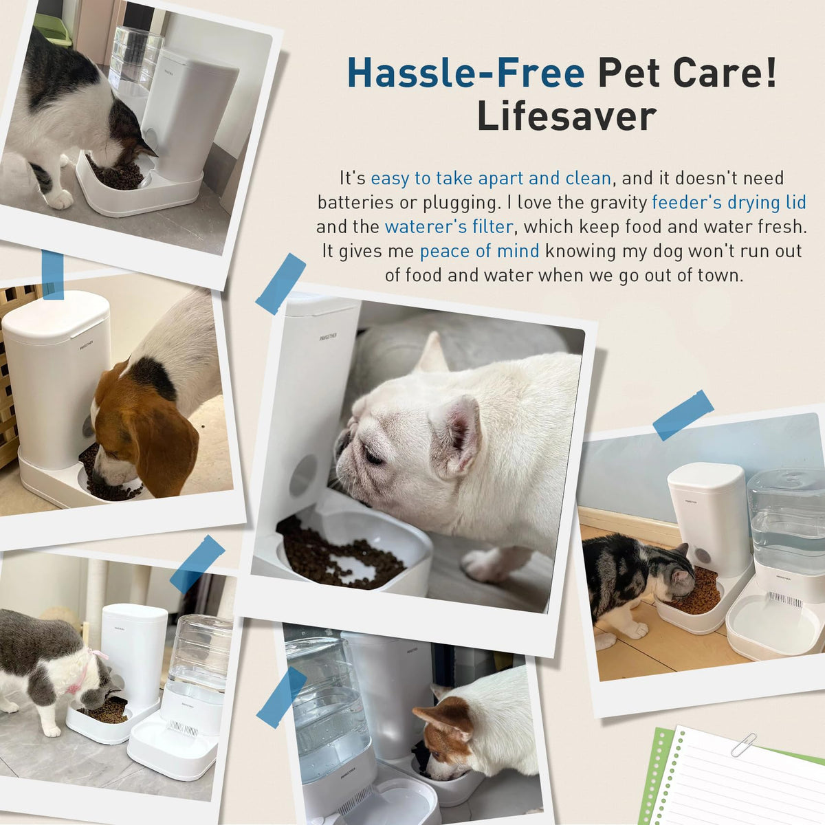 Automatic Cat Water Dispenser with 1 Filter Gravity Water Bowl for Dogs (Waterer + 1 Filter / 3.78L)
