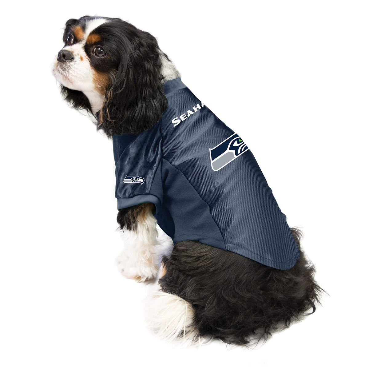 NFL Seattle Seahawks Stretch Pet Jersey (Seattle Seahawks / X-Large)