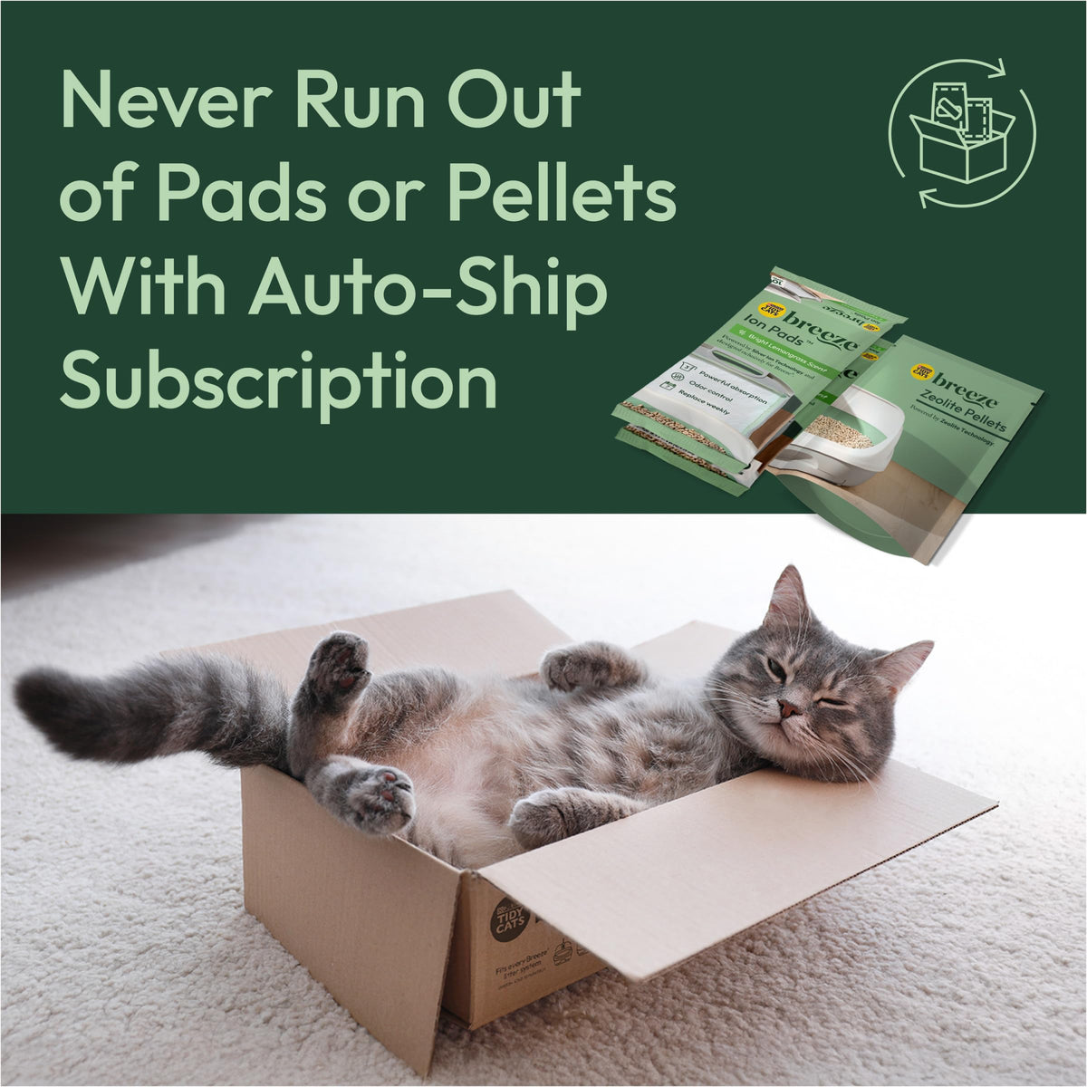 Breeze Litter Box System Kit with Pellet Cat Litter (XL / System Starter Kit: Multi-cat)