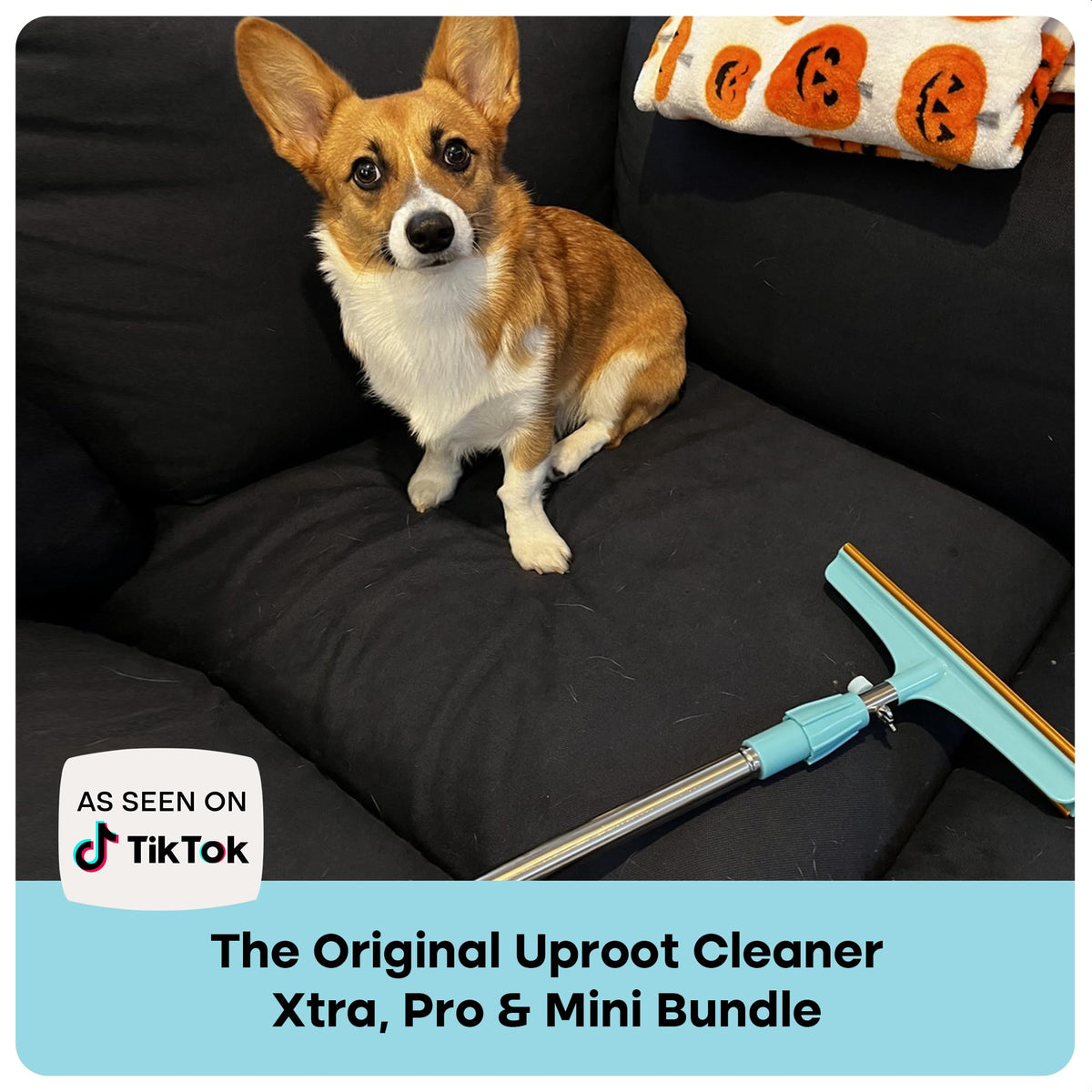 Set Pro & Mini Pet Hair Removal Tools & Xtra Carpet Rake (Pro + Mini + Xtra)
