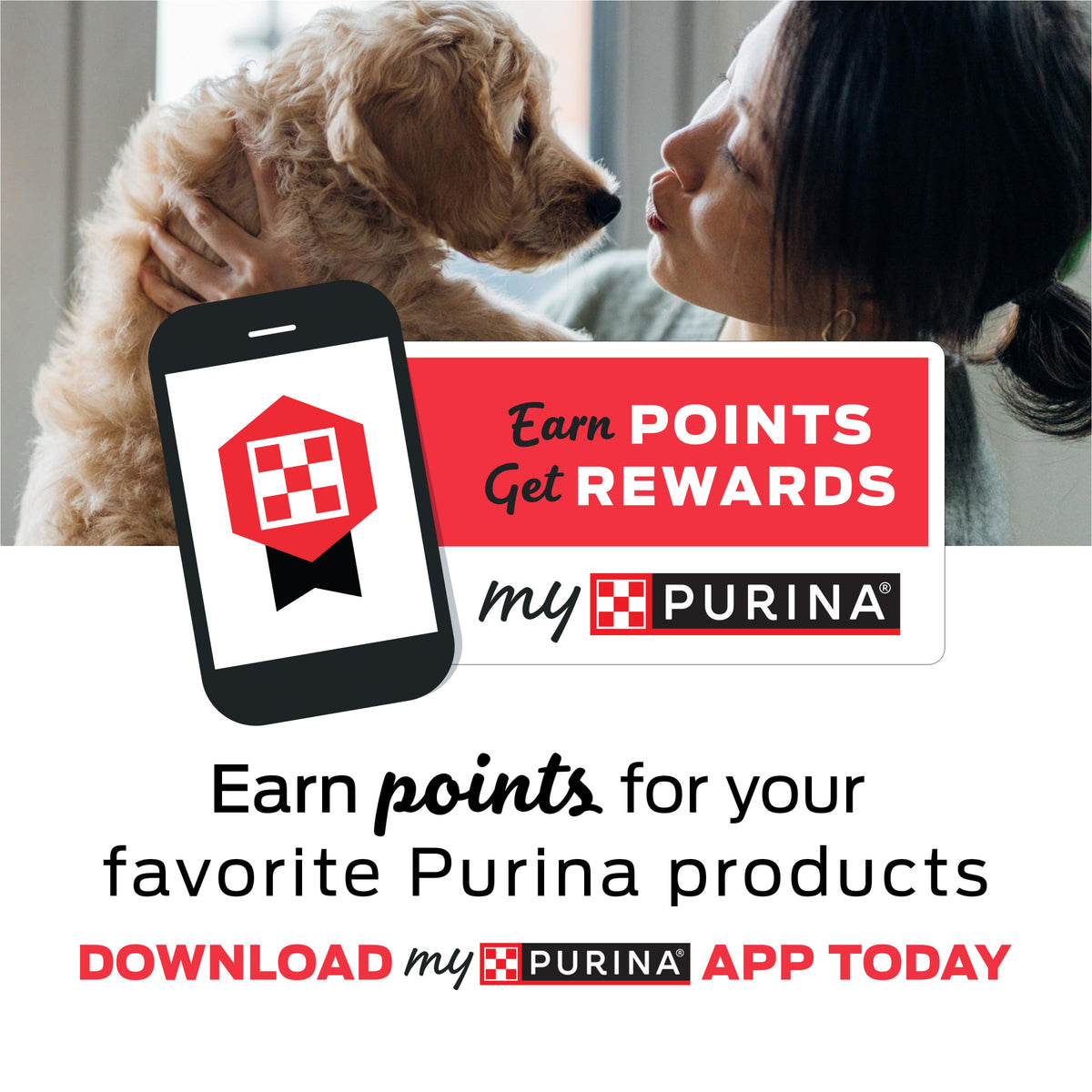 Purina Daily Dental Chews for Large Dogs (18 Count (Pack of 1))
