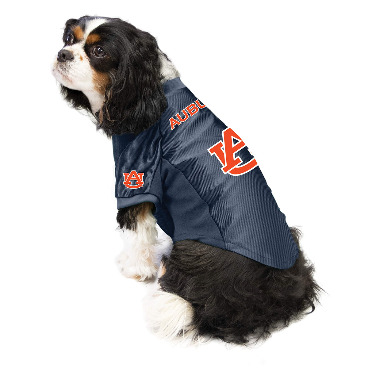 NCAA Auburn Tigers Stretch Pet Jersey (Auburn Tigers / X-Small)