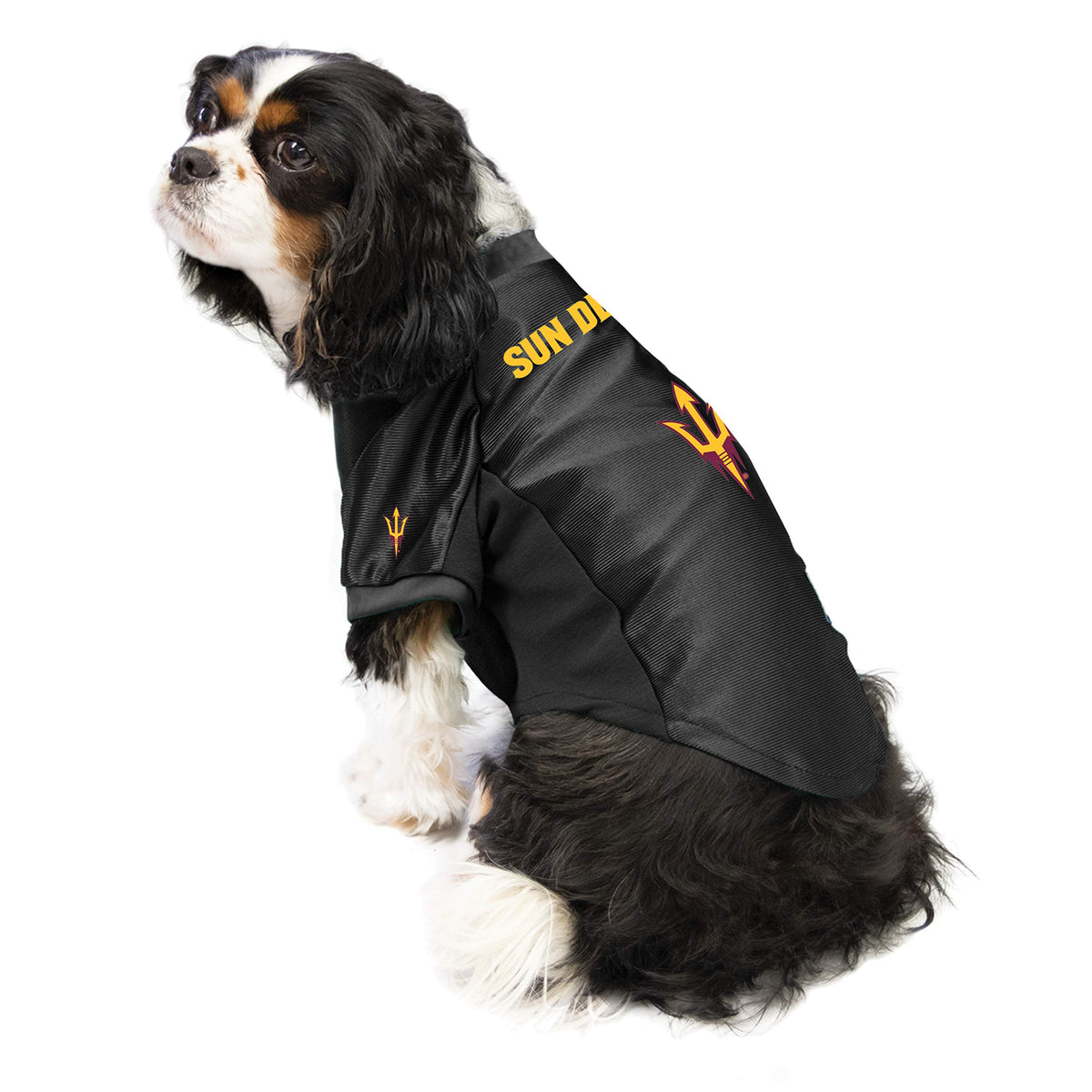 NCAA Arizona State Sun Devils Stretch Pet Jersey (Arizona State Sun Devils / X-Large)