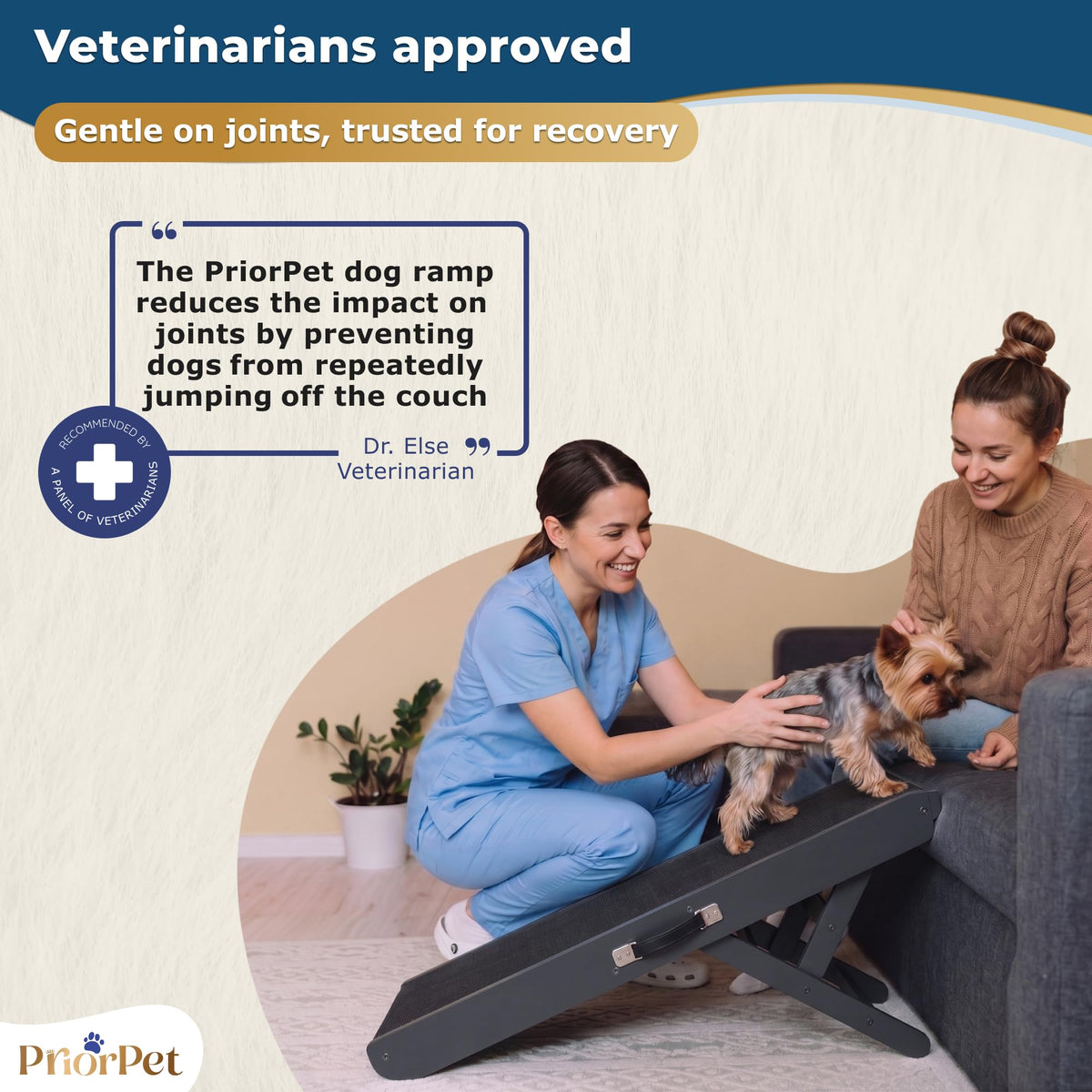 Dog Ramp for Couch (Black)