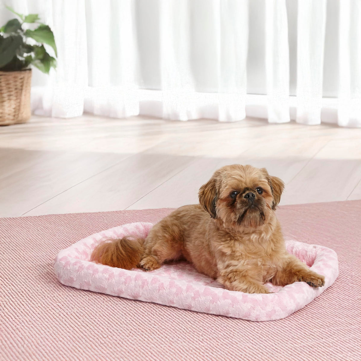 QuietTime Fashion Dog Bed (Pink / 24 Inch)