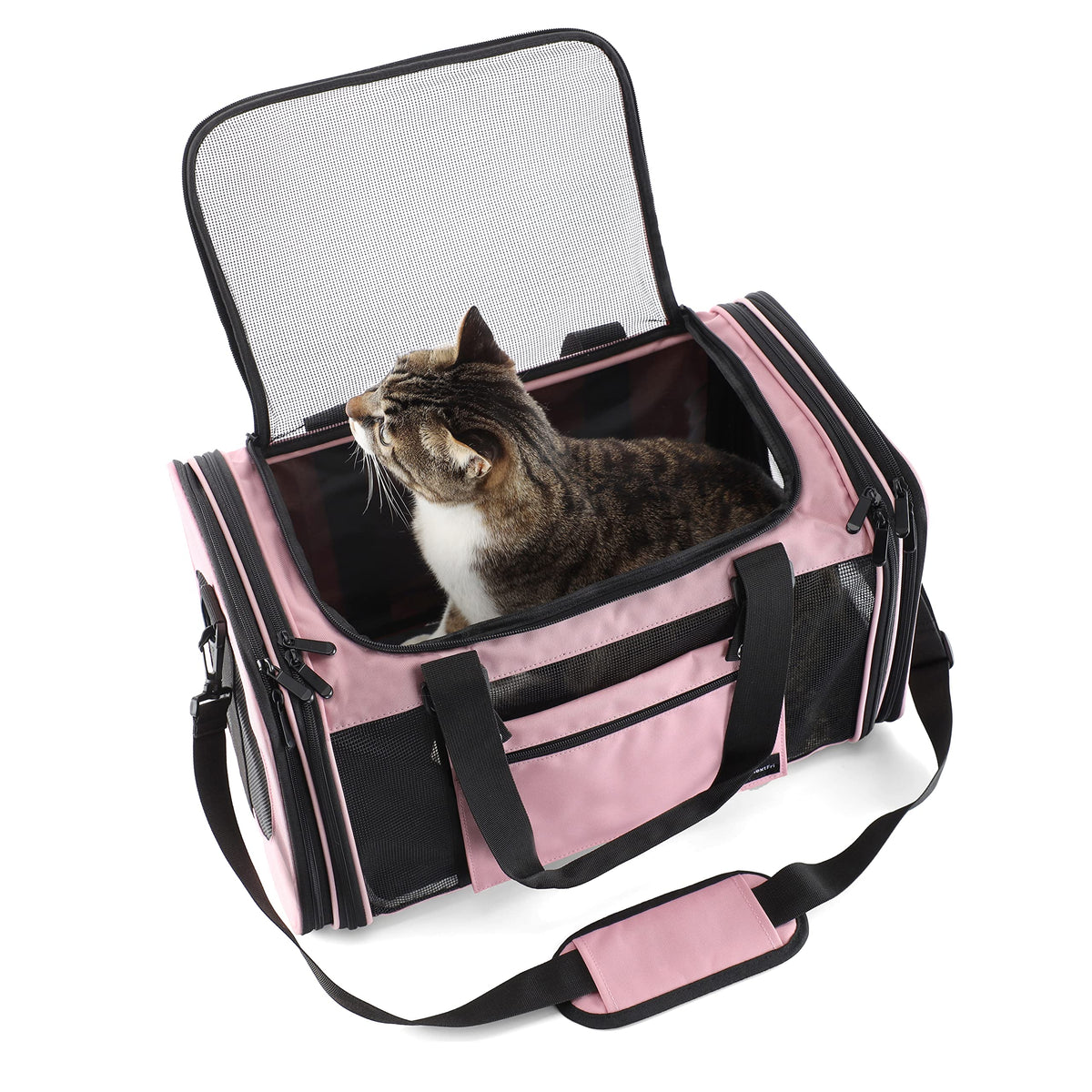 Soft Sided Pet Carrier for Cats Small Dogs of 15 Lbs Medium Pink (19.3"L x 11.3"W x 11.3"H / New-Pink)