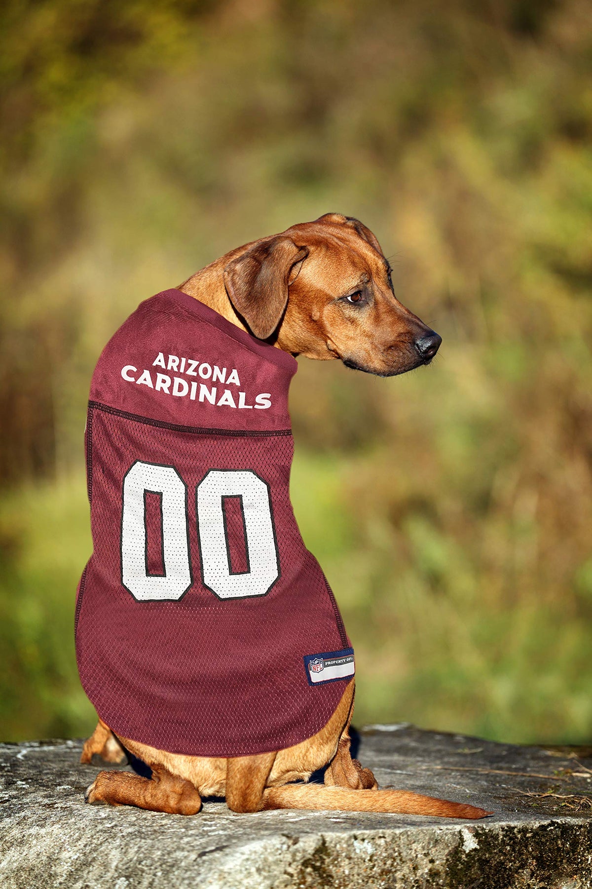 NFL Arizona Cardinals Dog Jersey (Arizona Cardinals / X-Large)
