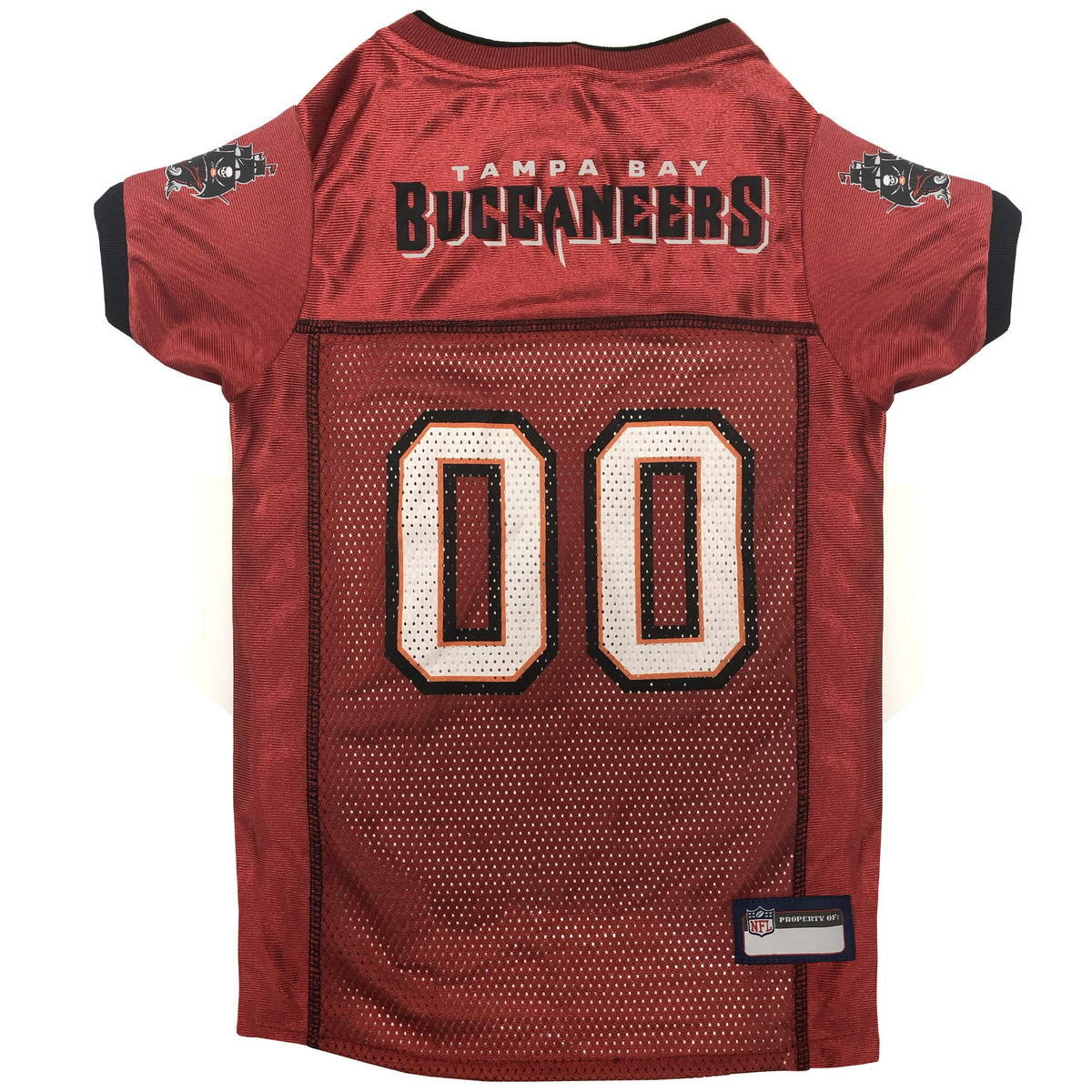 NFL NFC South Mesh Jersey for Dogs (Small / Tampa Bay Buccaneers)