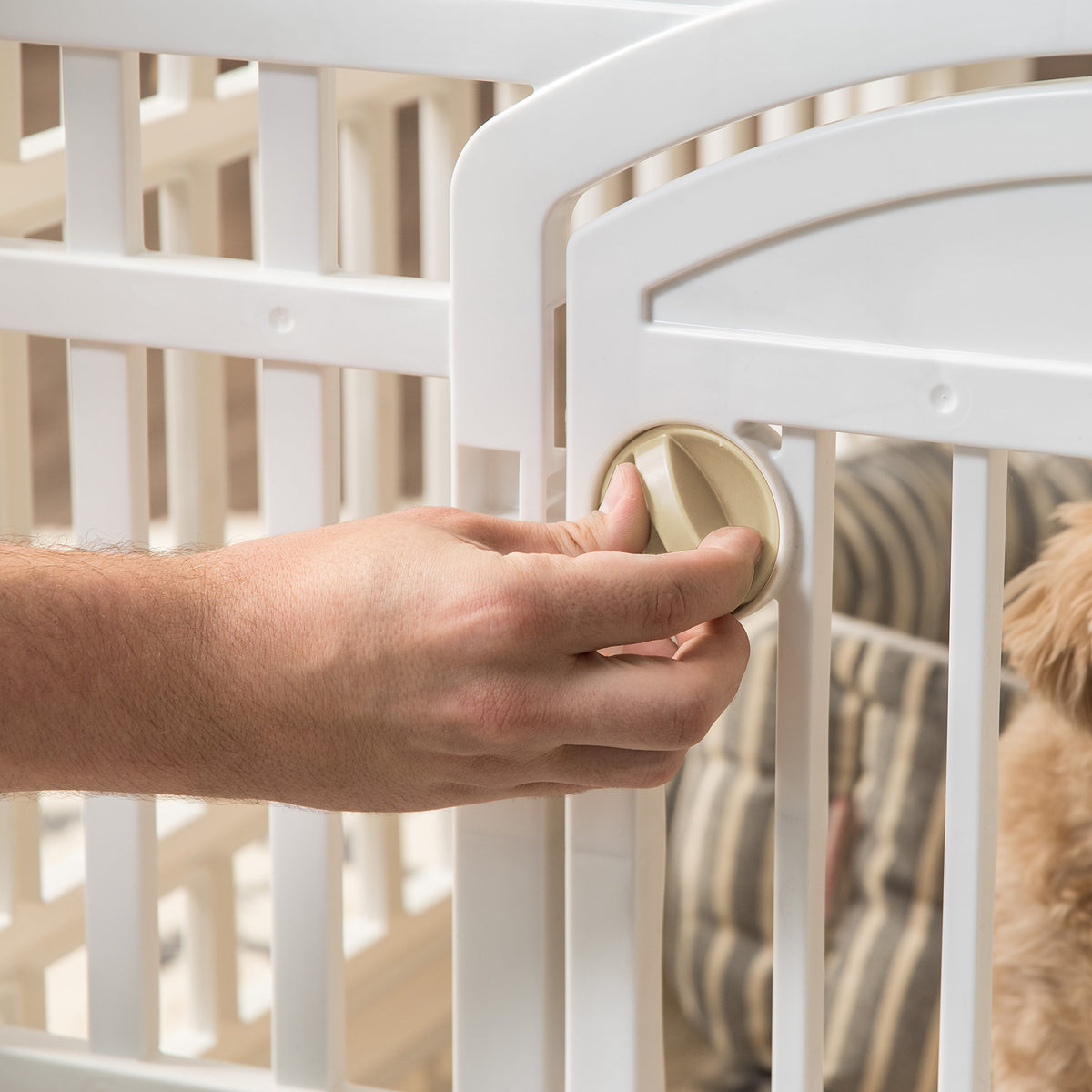 6 Panel Dog Playpen (6 Panel - 24" H / White)