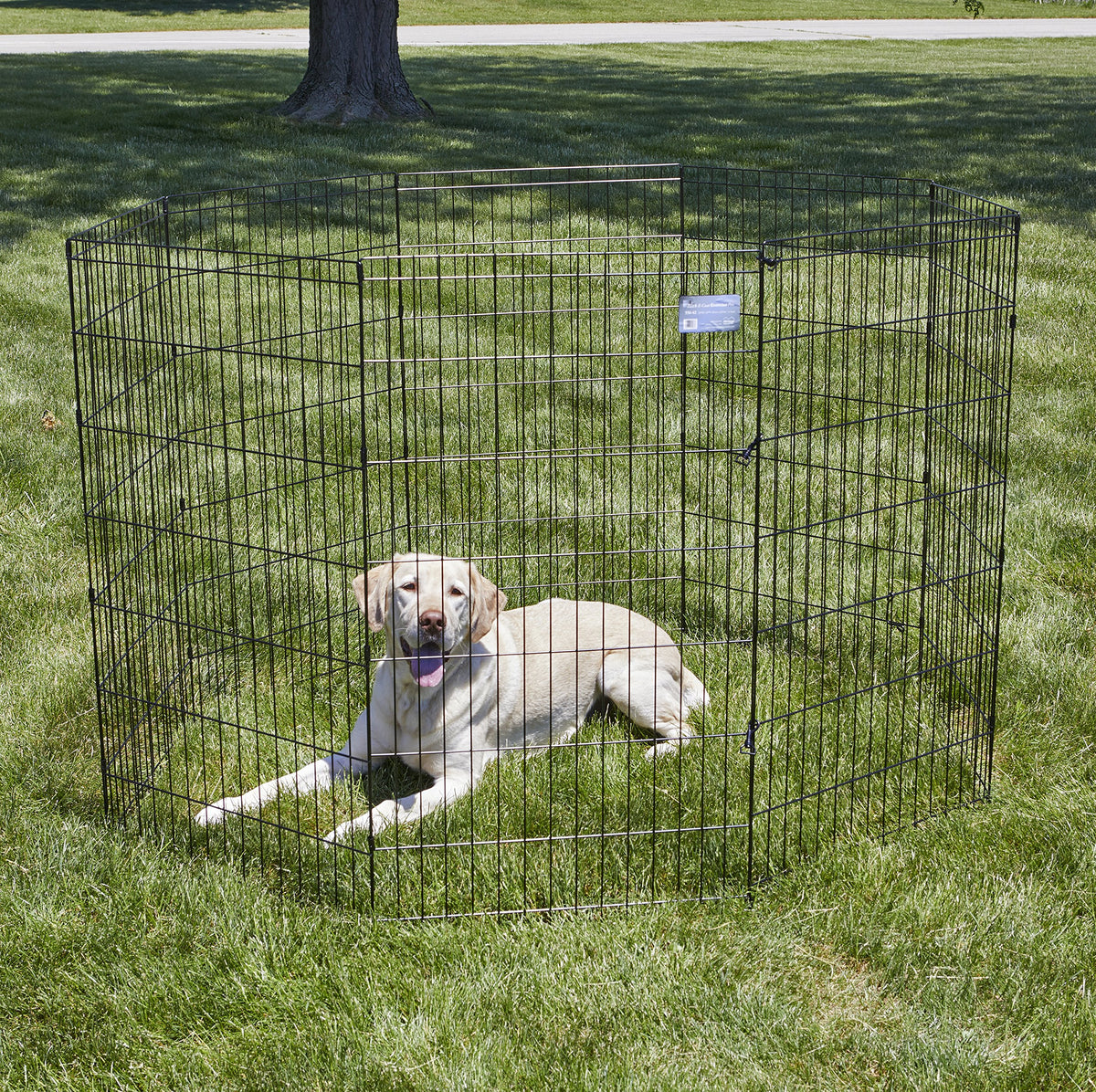 MidWest 42 Inch Exercise Pen (Black No Door / 42" H)