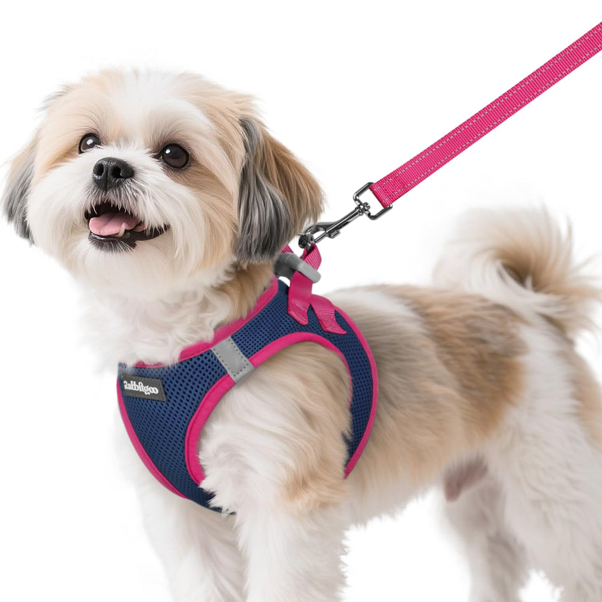 Dog Harness Small Sized and Leash Set (Navy Blue & Rose Red / S (Chest: 15.1"-16.5"))