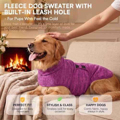 Dog Sweaters for Medium Dogs (Cationic Berry / Medium)