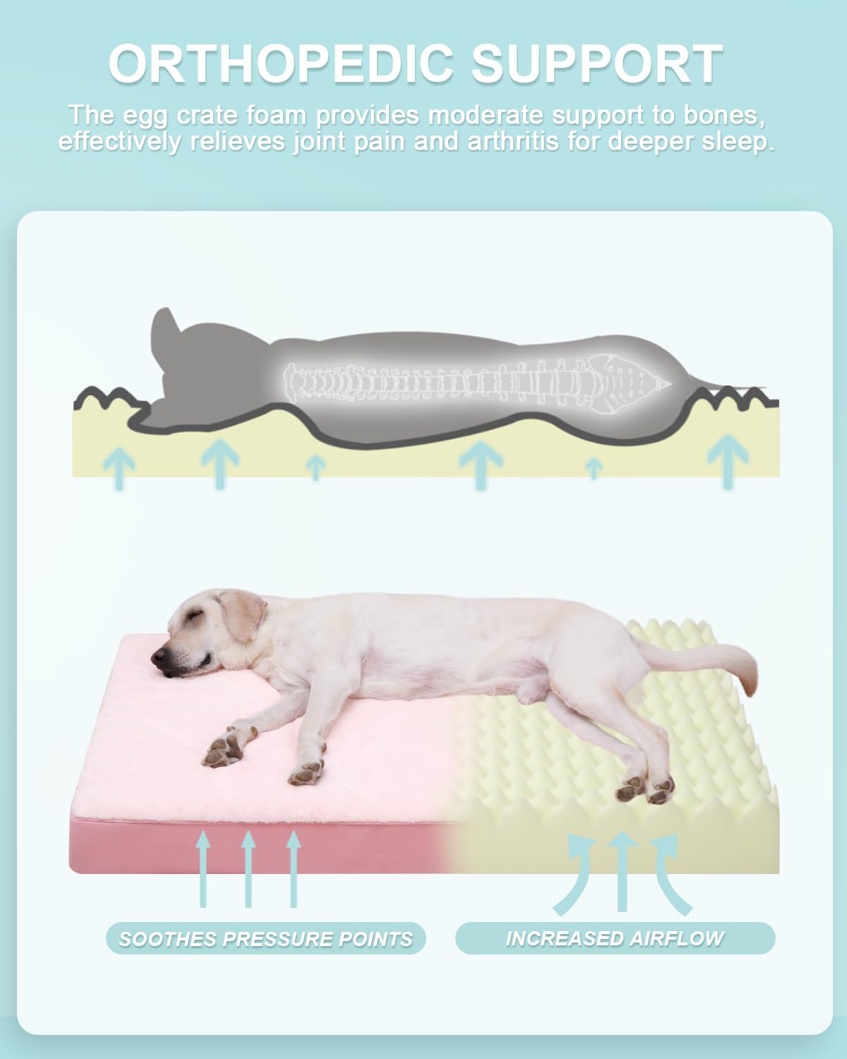 Orthopedic Dog Bed for Large Dogs with Waterproof Lining (Pink / 41.0"L x 27.0"W x 3.0"Th)