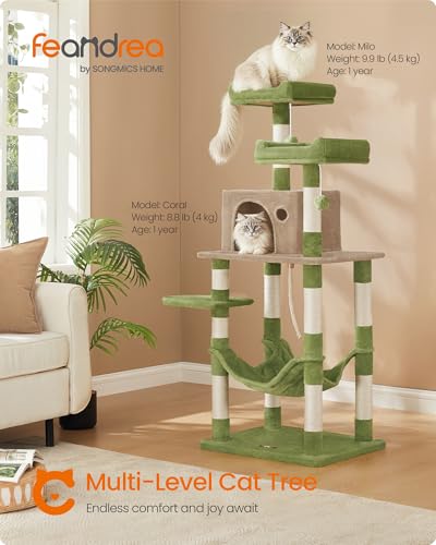 Cat Tree 55.8 (Grass Green + Camel Brown)