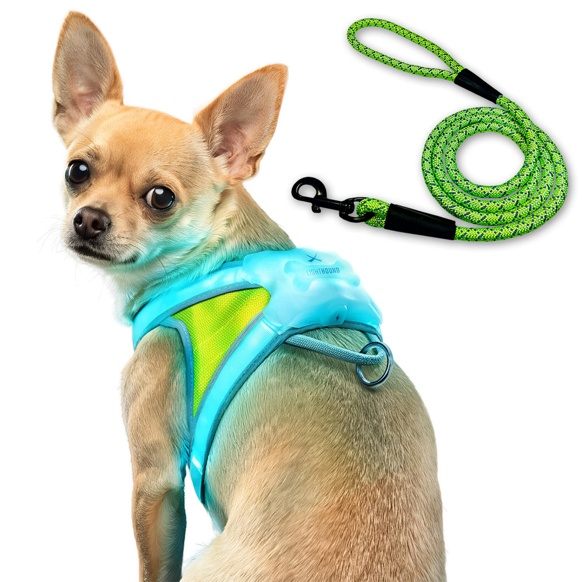 LightHound Light Up Reflective Dog Harness and Leash (Small)