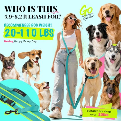 Hands Free Dog Leash (5.9-8.2 FT Teal)