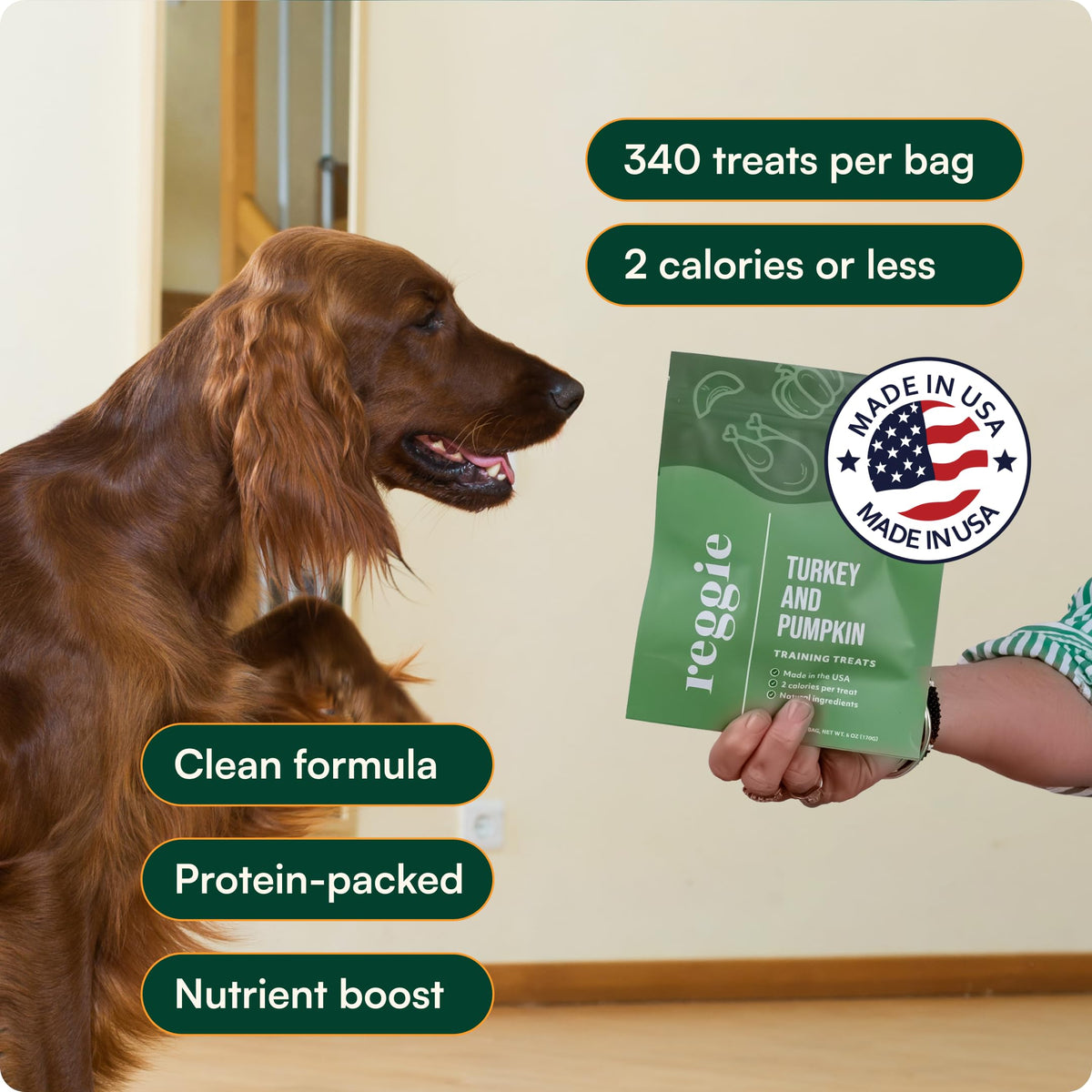 Dog Training Treats with Enrichment Toy (Forager Ball - Turkey & Pumpkin)
