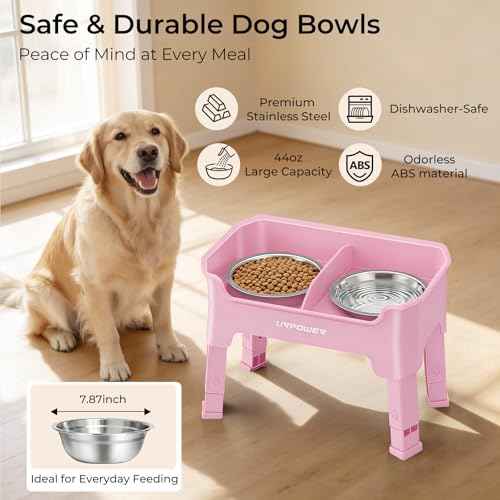 Mess Proof Elevated Dog Bowls (Pink / Medium)