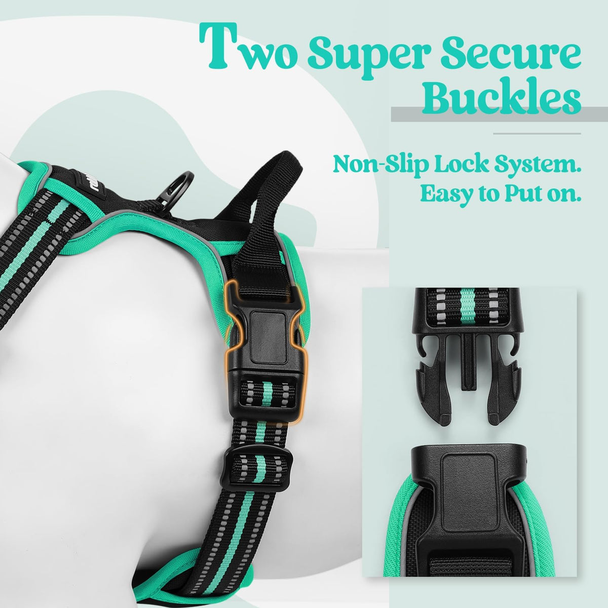 Dog Harness No Pull for Small Dogs with 2 Leash Clips (Small / Black & Turquoise)