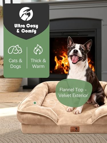 Orthopedic Dog Bed with Sides (24.0"L x 18.0"W x 6.0"Th / Brown)