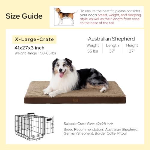 XL Dog Bed for Crate (41"L x 27"W x 3"Th / Brown)