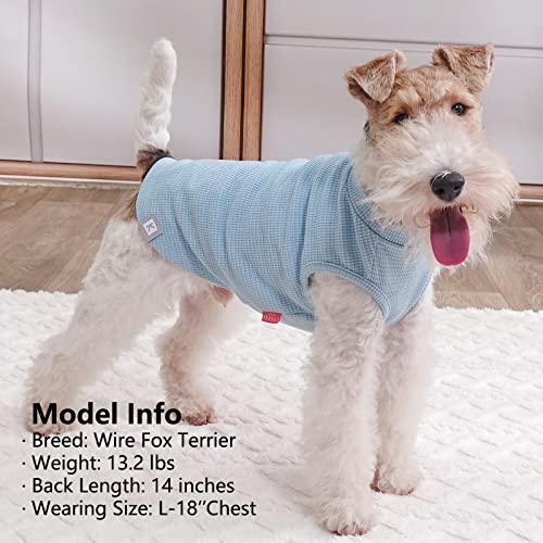 2Pack Waffle Dog Shirt for Small Dogs Striped Dog Sweater Tank Top (Medium (7-11lbs) / 2Pack(Blue+Grey))