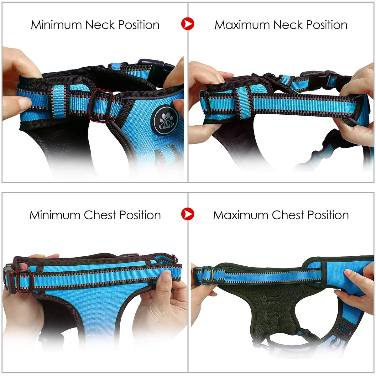 Dog Harness for Medium Sized Dog (Blue / Medium)