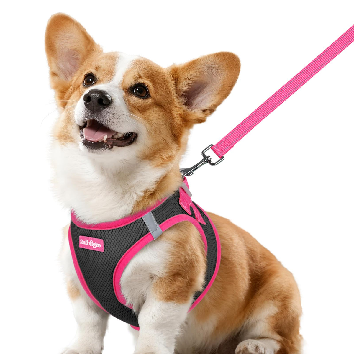 Dog Harness Small Sized and Leash Set (Black & Rose Red / L (Chest: 18.2"-20.5"))