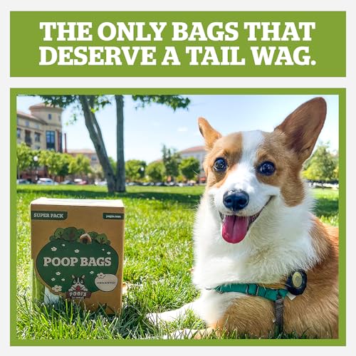 Pogi's Large Dog Poop Bags with Handles (1 Count (Pack of 900) / Unscented)