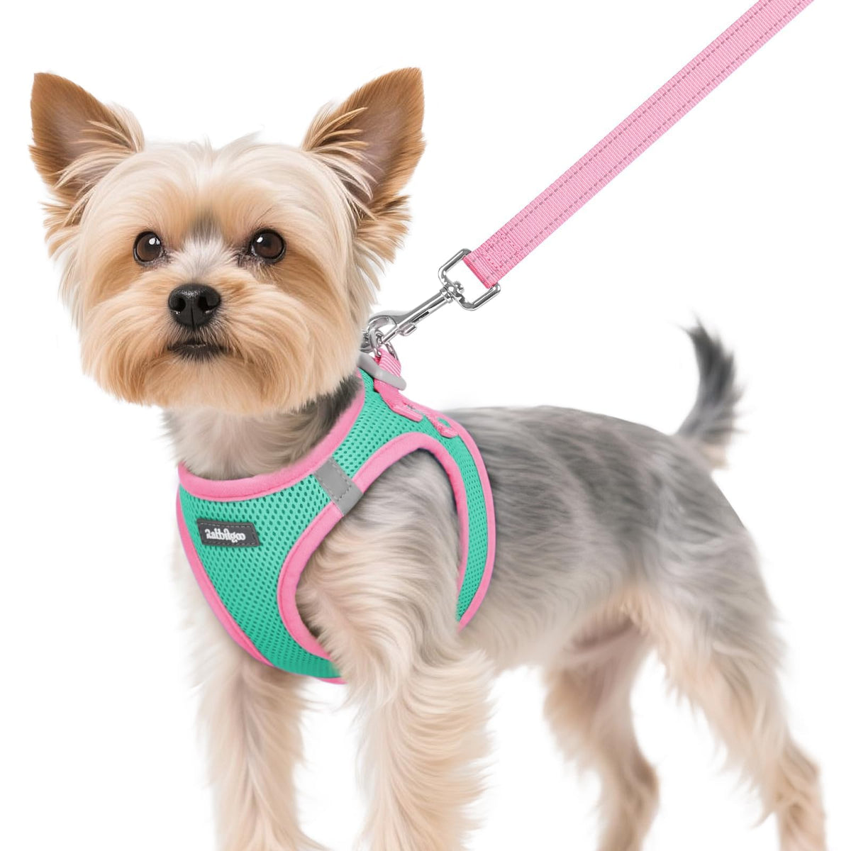 Dog Harness Small Sized and Leash Set (Teal & Pink / XS (Chest: 13.3"-15.5"))