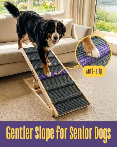 Wide Dog Ramp for Bed & Couch (Large)